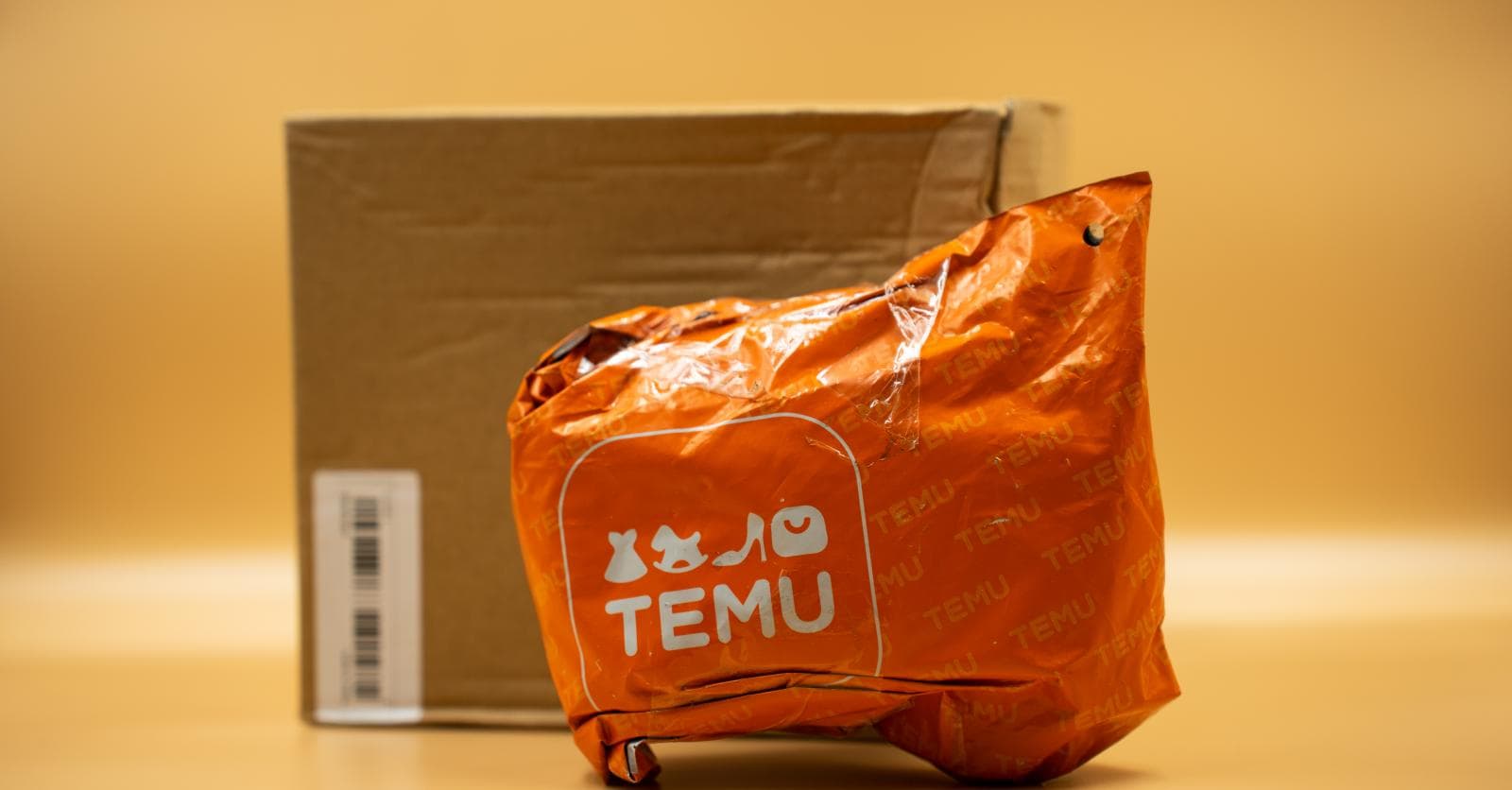 De belangrijkste voordelen van winkelen op Temu