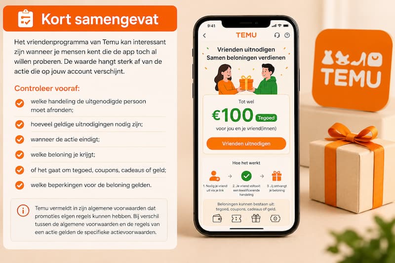 Is het Temu-vriendenprogramma de moeite waard 1